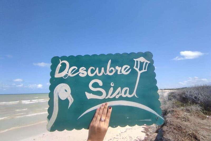From Merida: Sisal Beach and Mangroves Kayak Tour - Key Points