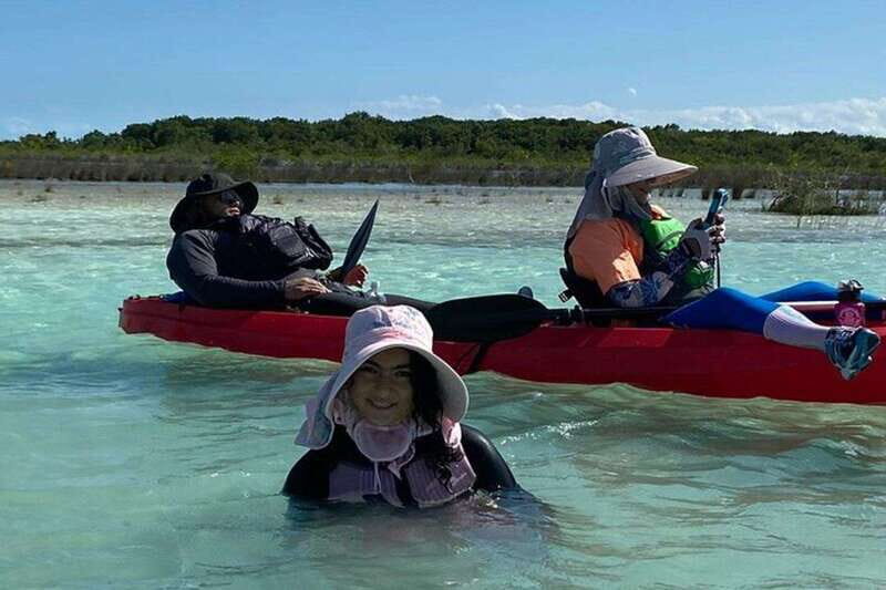 From Merida: Sisal Beach and Mangroves Kayak Tour - Exploring the Itinerary: What You Can Expect