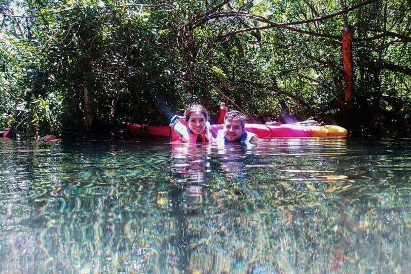 From Merida: Sisal Beach and Mangroves Kayak Tour - Practical Tips for a Smooth Experience