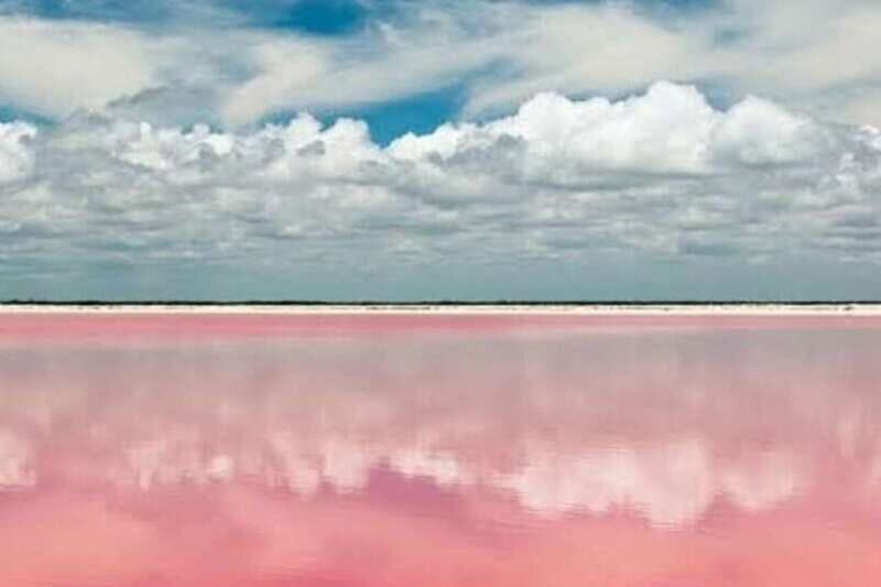 From Merida: Tour to Las Coloradas with Lunch & boat - Who Will Love This Tour?