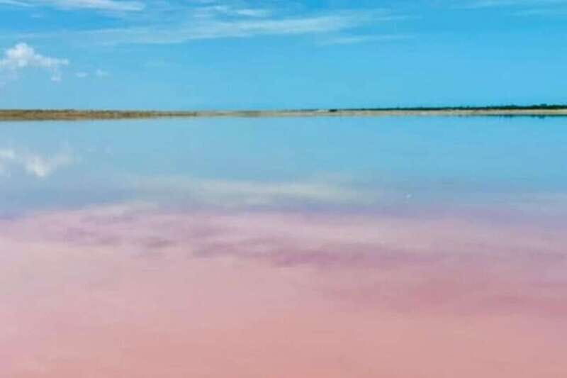 From Merida: Tour to Las Coloradas with Lunch & boat - Frequently Asked Questions