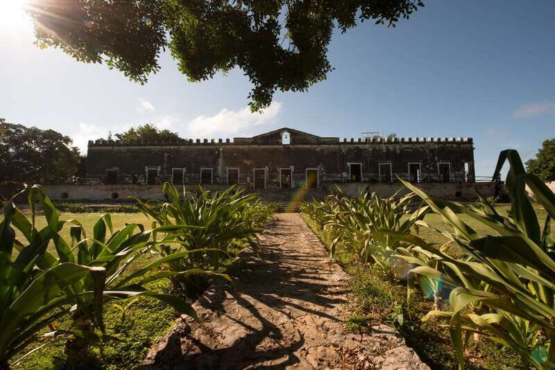 From Merida: Uxmal, Hacienda Yaxcopoil and Cenote with Lunch - What Do Reviewers Say?  