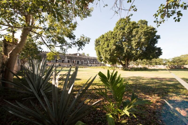 From Merida: Uxmal, Hacienda Yaxcopoil and Cenote with Lunch - Practical Tips for Your Day  