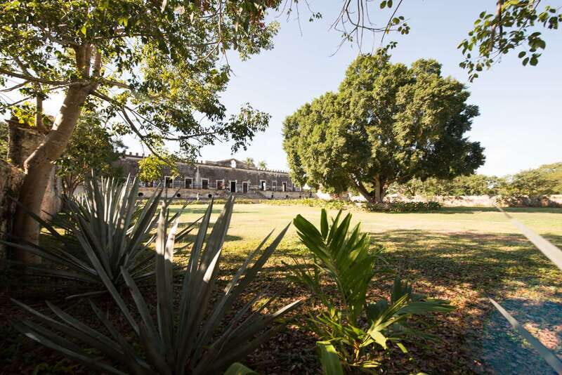 From Merida: Uxmal, Hacienda Yaxcopoil and Cenote with Lunch - Who Is This Tour Best For?  