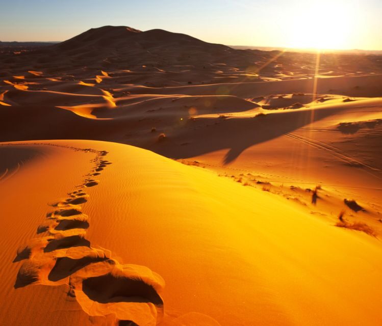 From Merzouga: Overnight Camel Trek over Erg Chebbi Dunes - From Merzouga: Overnight Camel Trek over Erg Chebbi Dunes — A Detailed Look