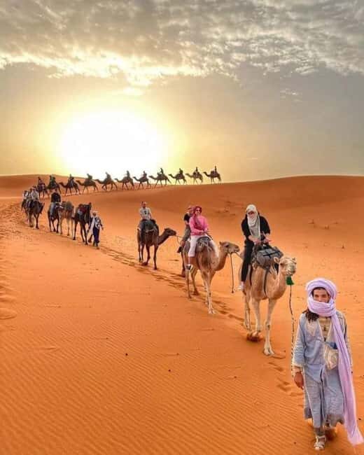 From Merzouga: Overnight Camel Trek over Erg Chebbi Dunes - Key Points