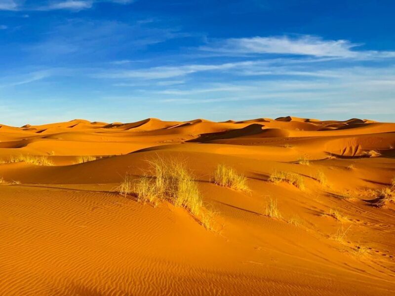 From Merzouga: Overnight Camel Trek over Erg Chebbi Dunes - Final Thoughts