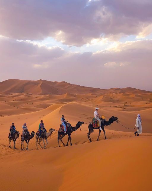 From Merzouga: Sunset Camel Ride & Sandboarding - Key Points