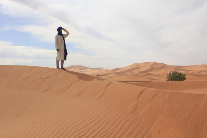 From Merzouga: Sunset Camel Ride & Sandboarding - The Sum Up