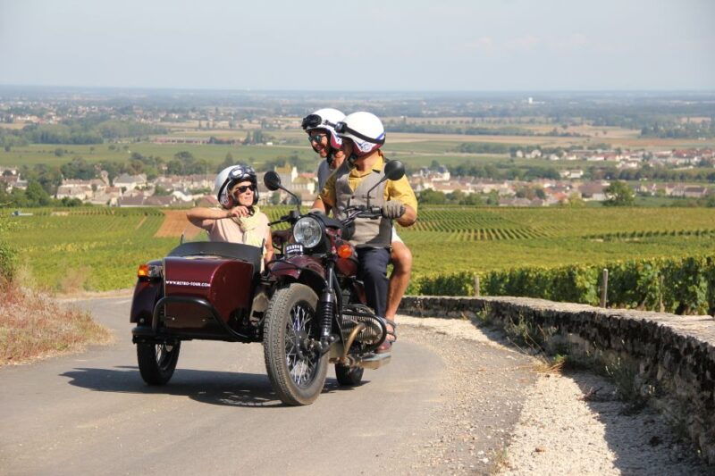 from-meursault-private-sidecar-tour-vineyard-wine-tasting