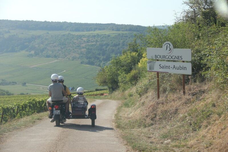 from-meursault-private-sidecar-tour-vineyard-wine-tasting