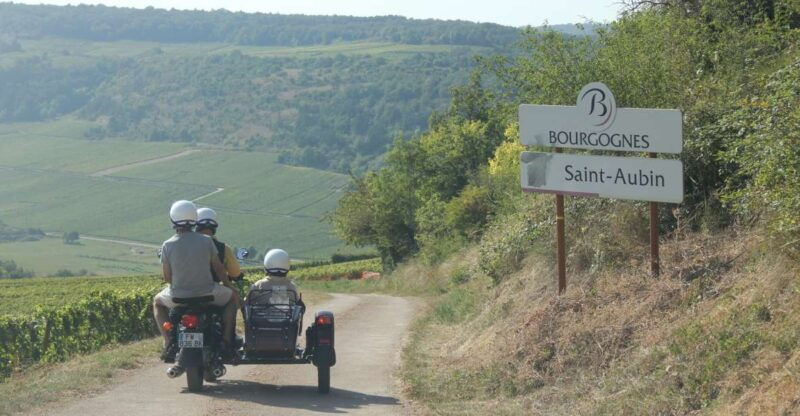 from-meursault-private-sidecar-tour-vineyard-wine-tasting