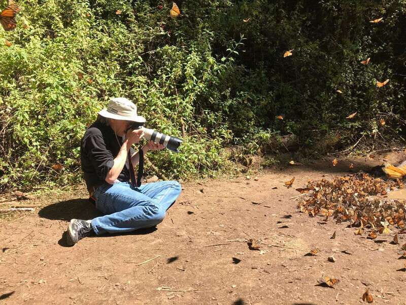 From Mexico City: 7-Day Monarch Butterfly Tour - Discover the 7-Day Monarch Butterfly Tour from Mexico City: An In-Depth Review