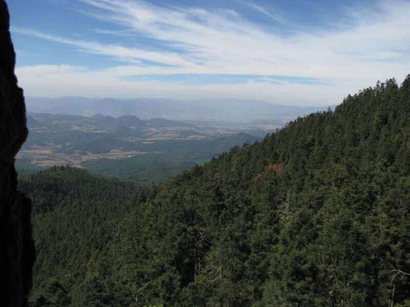 From Mexico City: 7-Day Monarch Butterfly Tour - The Sum Up: Is This Tour Right for You?
