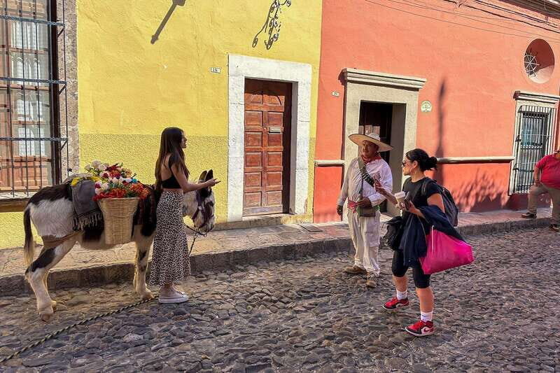 From Mexico City: San Miguel de Allende Day Trip - Detailed Breakdown of the Itinerary