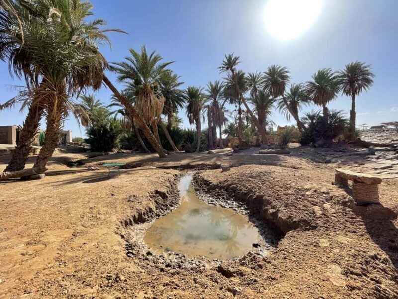 FROM M'HAMID: Overnight Desert Tour to Erg Chigaga 4x4 Camel - The Sum Up