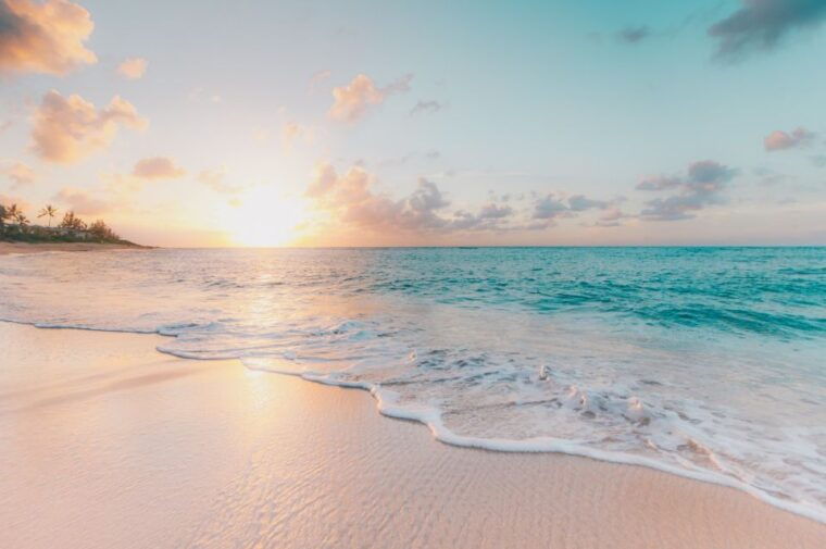 from-miami-bimini-bahamas-day-trip-by-ferry