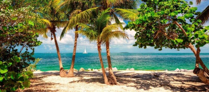 from-miami-enchanting-key-west-tour-in-a-small-group