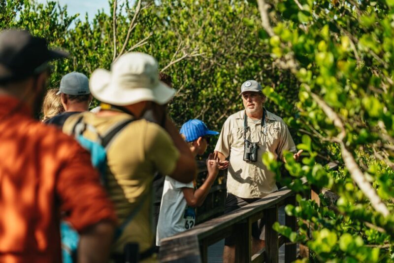 From Miami: Everglades Airboat Ride and Nature Walk - Starting Point & Transportation