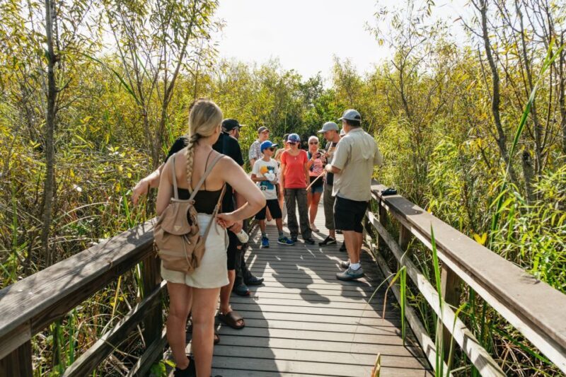 From Miami: Everglades Airboat Ride and Nature Walk - The Picnic Lunch & Additional Perks