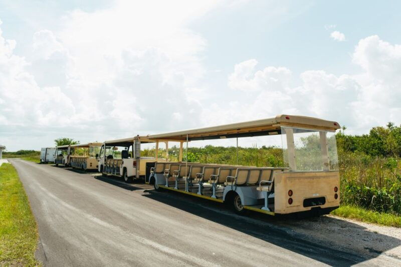 from-miami-everglades-airboat-ride-and-nature-walk