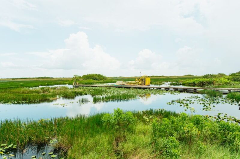 from-miami-everglades-airboat-ride-and-nature-walk