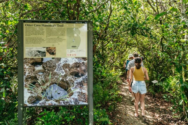 from-miami-everglades-airboat-ride-and-nature-walk