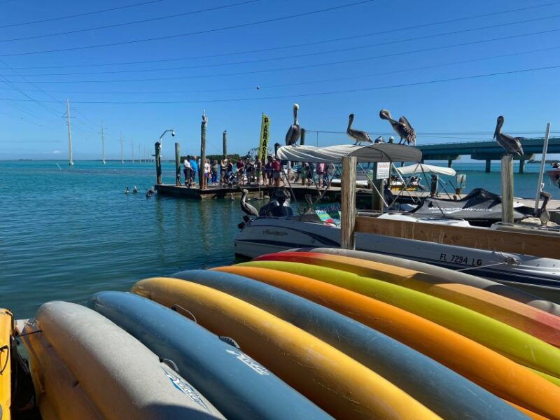 from-miami-key-largo-islamorada-private-open-top-bus-tour