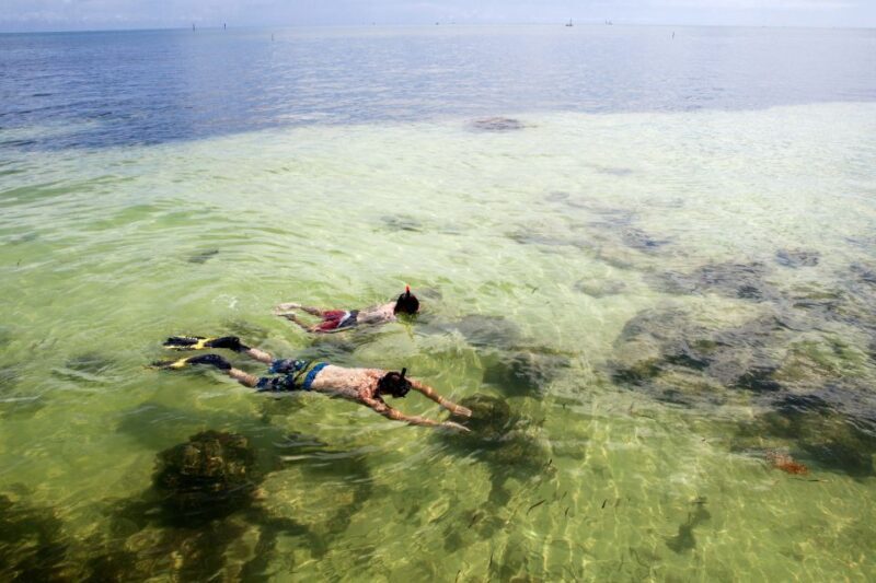 From Miami: Key West Day Tour by Motor Coach Bus - Authentic Experiences from Fellow Travelers