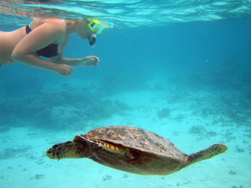 from-miami-key-west-day-trip