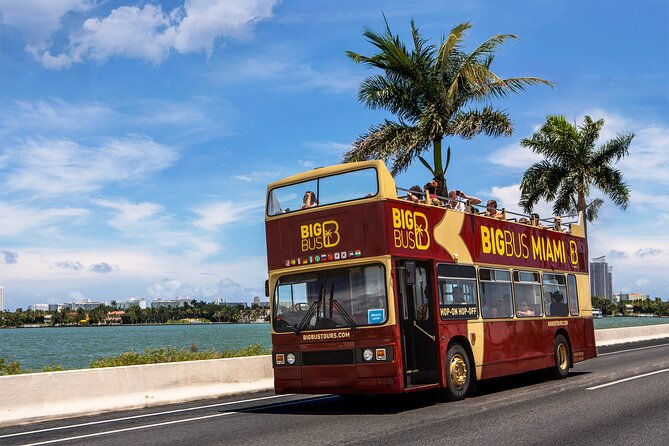 from-miami-open-top-bus-tour-bay-cruise-everglades-adventure