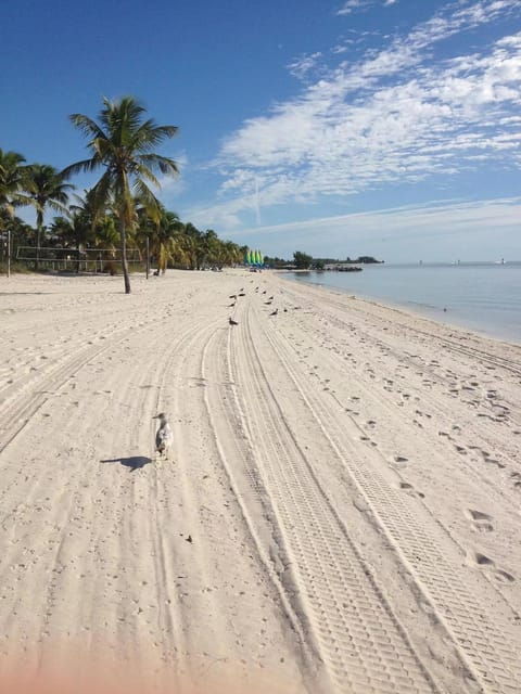 from-miami-small-group-key-west-1-day-tour