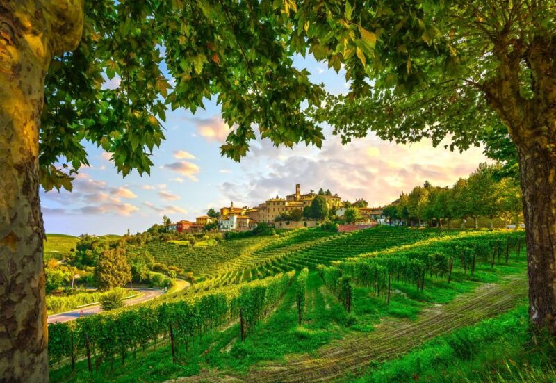 from-milan-barolo-wine-tasting-alba-tour-and-castle-visit