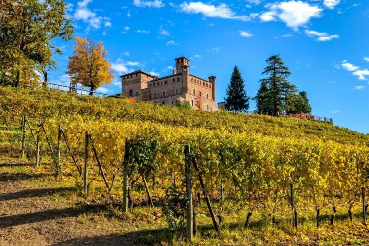 from-milan-barolo-wine-tasting-alba-tour-and-castle-visit