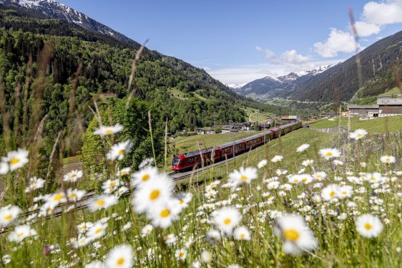 From Milan: Bernina Red Train to St Moritz Guided Tour - The Value of This Tour