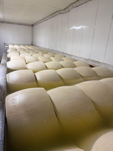 from-milan-food-valley-with-cheese-factory-visit-and-lunch