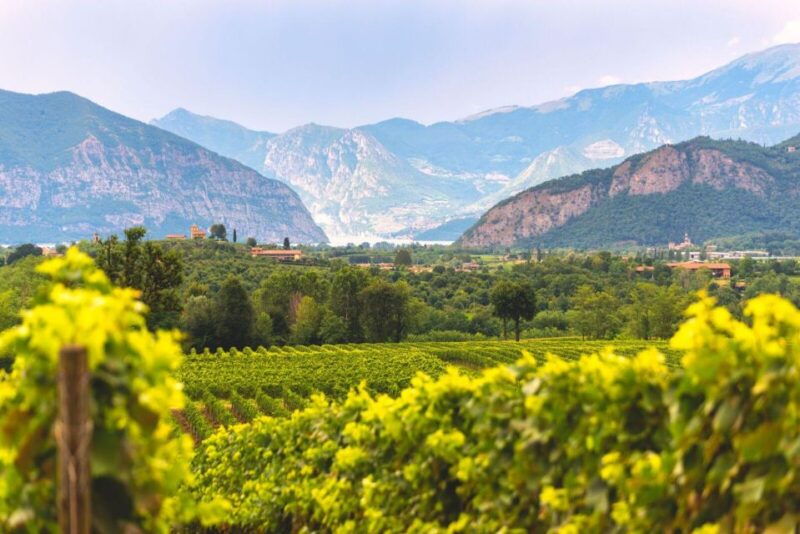 from-milan-lake-iseo-bergamo-franciacorta-wine-tour-2