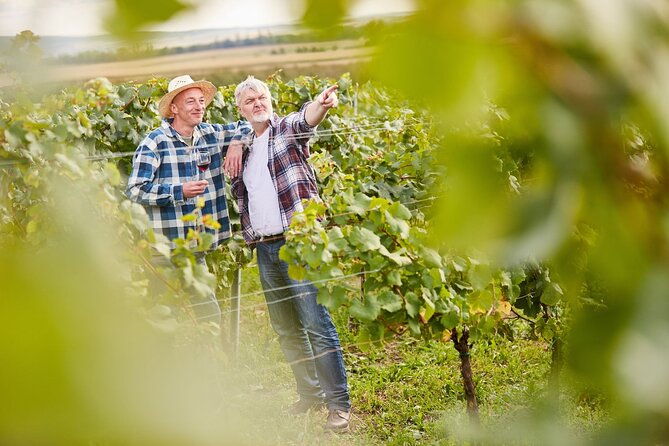 from-milan-lake-iseo-bergamo-franciacorta-wine-tour