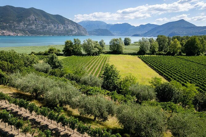 from-milan-lake-iseo-bergamo-franciacorta-wine-tour