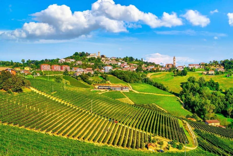 From Milan: Langhe Wine Region Day Trip with Barolo Tasting - A Detailed Look at the Tour Experience