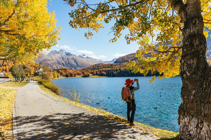 From Milan: St. Moritz and Panoramic Bernina Express Tour - Transportation and Comfort