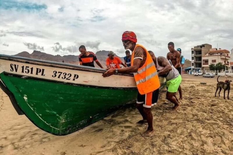 From Mindelo: Snorkel and Swim with Sea Turtles - Who Will Love This Tour?
