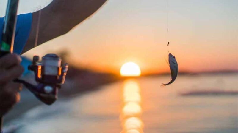 From Mirissa: All-Inclusive Deep Sea Fishing Boat Tour - Authenticity and Local Flavor