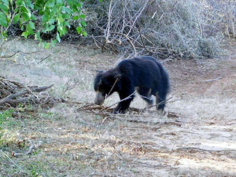 From Mirissa / Galle / Bentota : DAY TOUR to ELLA & Return - Final Thoughts