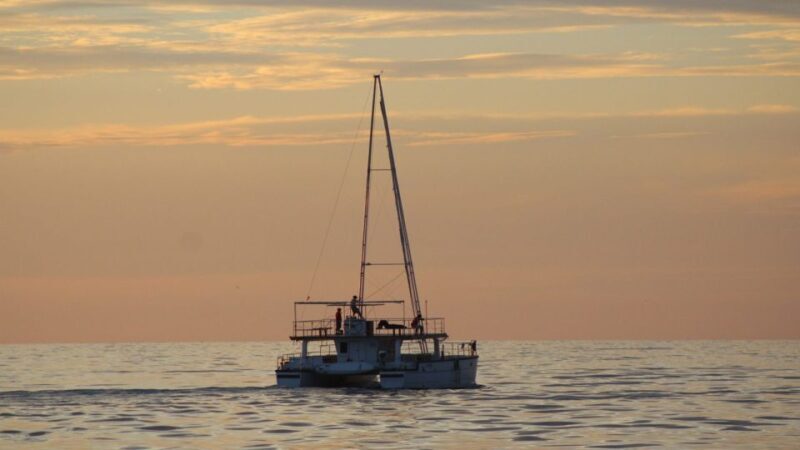From Mirissa: Private Whale Watching Tour With Sunset - Why This Tour Is Worth Considering