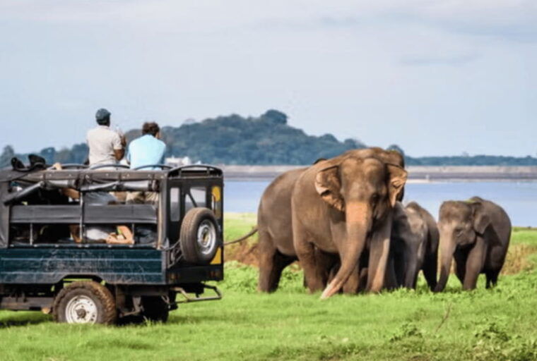 from-mirissa-yala-day-trip-with-free-entrance-and-food