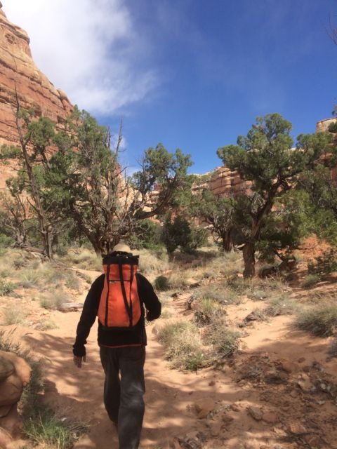 from-moab-1-day-horseshoe-canyon-exploration