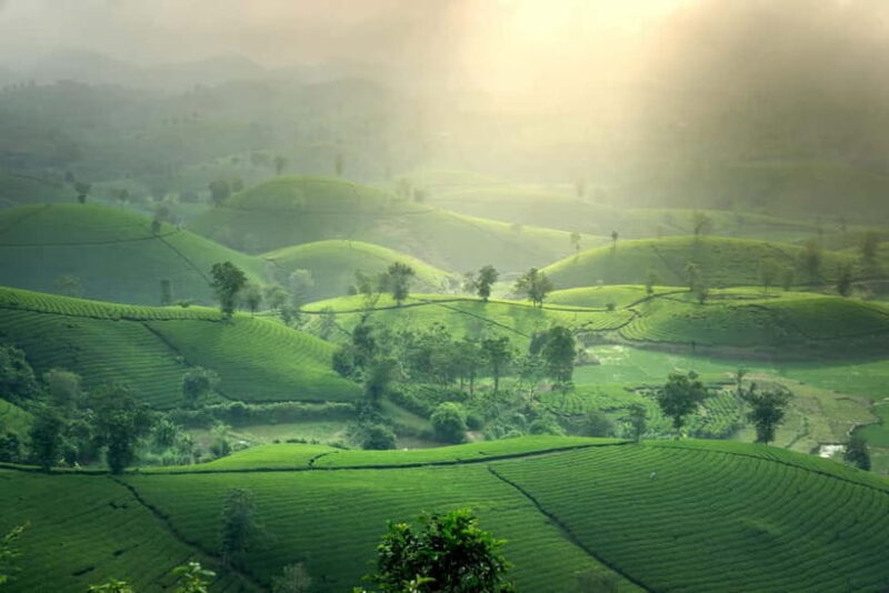 From Moc Chau: 3-Day Tea Farm and Waterfall Tour - Practical Tips for Travelers