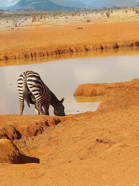 From Mombasa: 3-Day Tsavo East and Tsavo West Safari - Price & Value Analysis