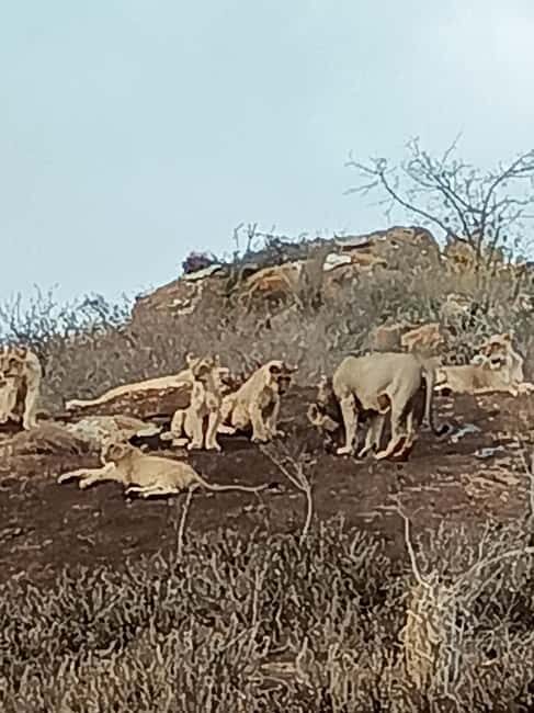 From Mombasa: 3-Day Tsavo East and Tsavo West Safari - FAQs